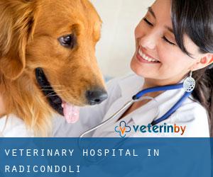 Veterinary Hospital in Radicondoli