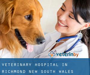 Veterinary Hospital in Richmond (New South Wales)