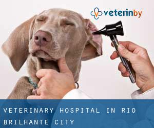 Veterinary Hospital in Rio Brilhante (City)