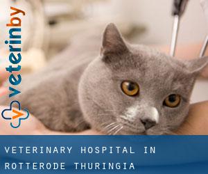 Veterinary Hospital in Rotterode (Thuringia)