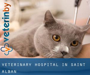 Veterinary Hospital in Saint-Alban