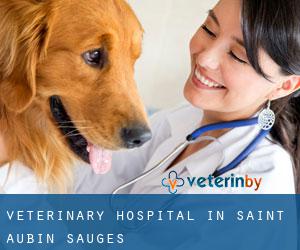 Veterinary Hospital in Saint-Aubin-Sauges