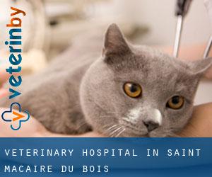 Veterinary Hospital in Saint-Macaire-du-Bois