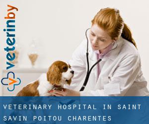 Veterinary Hospital in Saint-Savin (Poitou-Charentes)