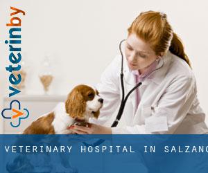 Veterinary Hospital in Salzano