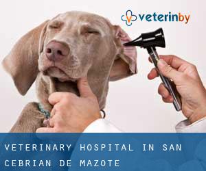 Veterinary Hospital in San Cebrián de Mazote
