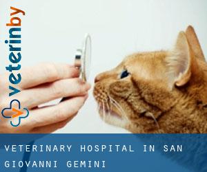 Veterinary Hospital in San Giovanni Gemini