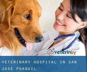 Veterinary Hospital in San José Poaquil