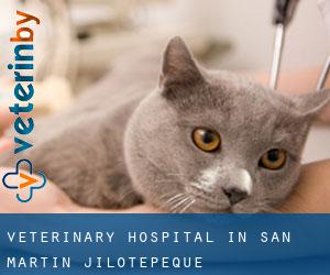 Veterinary Hospital in San Martín Jilotepeque