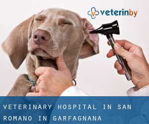 Veterinary Hospital in San Romano in Garfagnana