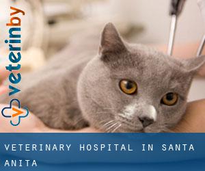 Veterinary Hospital in Santa Anita