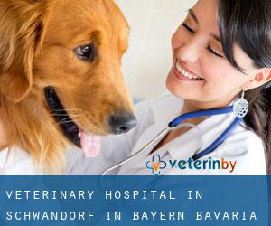 Veterinary Hospital in Schwandorf in Bayern (Bavaria)