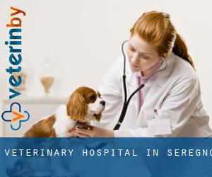 Veterinary Hospital in Seregno