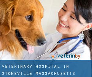 Veterinary Hospital in Stoneville (Massachusetts)