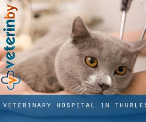 Veterinary Hospital in Thurles