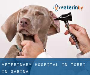 Veterinary Hospital in Torri in Sabina