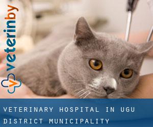 Veterinary Hospital in Ugu District Municipality