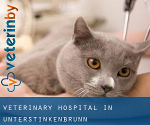 Veterinary Hospital in Unterstinkenbrunn