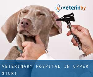 Veterinary Hospital in Upper Sturt