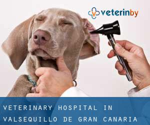 Veterinary Hospital in Valsequillo de Gran Canaria