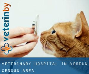 Veterinary Hospital in Verdun (census area)