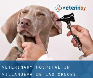 Veterinary Hospital in Villanueva de las Cruces
