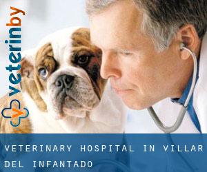 Veterinary Hospital in Villar del Infantado