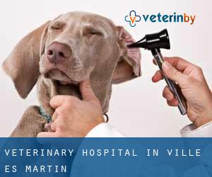 Veterinary Hospital in Ville-ès-Martin
