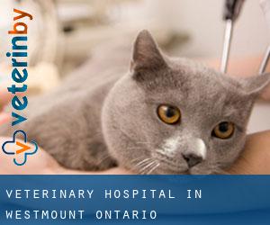 Veterinary Hospital in Westmount (Ontario)