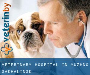 Veterinary Hospital in Yuzhno-Sakhalinsk