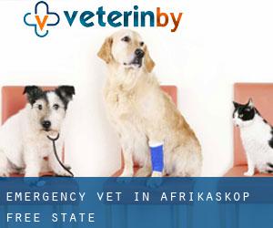 Emergency Vet in Afrikaskop (Free State)