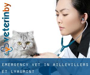 Emergency Vet in Aillevillers-et-Lyaumont