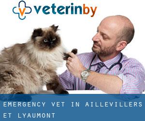 Emergency Vet in Aillevillers-et-Lyaumont