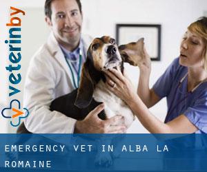 Emergency Vet in Alba-la-Romaine