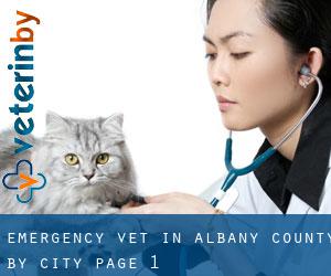 Emergency Vet in Albany County by city - page 1