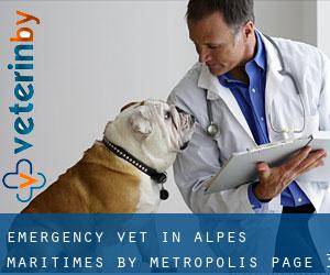 Emergency Vet in Alpes-Maritimes by metropolis - page 3