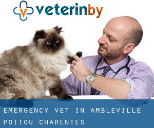 Emergency Vet in Ambleville (Poitou-Charentes)