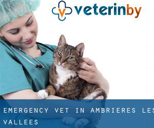 Emergency Vet in Ambrières-les-Vallées