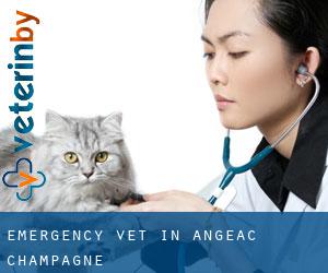 Emergency Vet in Angeac-Champagne