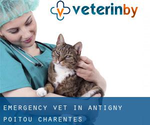Emergency Vet in Antigny (Poitou-Charentes)