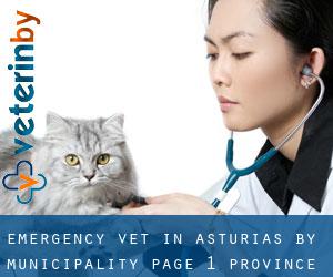 Emergency Vet in Asturias by municipality - page 1 (Province)