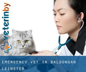 Emergency Vet in Baldongan (Leinster)
