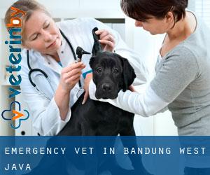 Emergency Vet in Bandung (West Java)