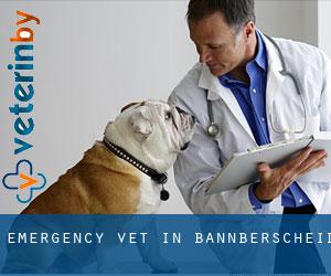 Emergency Vet in Bannberscheid