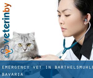 Emergency Vet in Barthelsmühle (Bavaria)