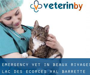 Emergency Vet in Beaux-Rivages--Lac-des-Écorces--Val-Barrette