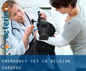 Emergency Vet in Belgian Gardens