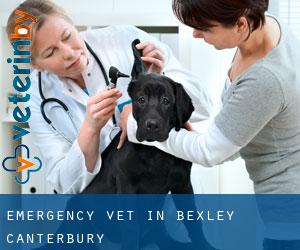 Emergency Vet in Bexley (Canterbury)