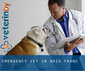 Emergency Vet in Bois-Franc