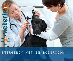 Emergency Vet in Boisridon